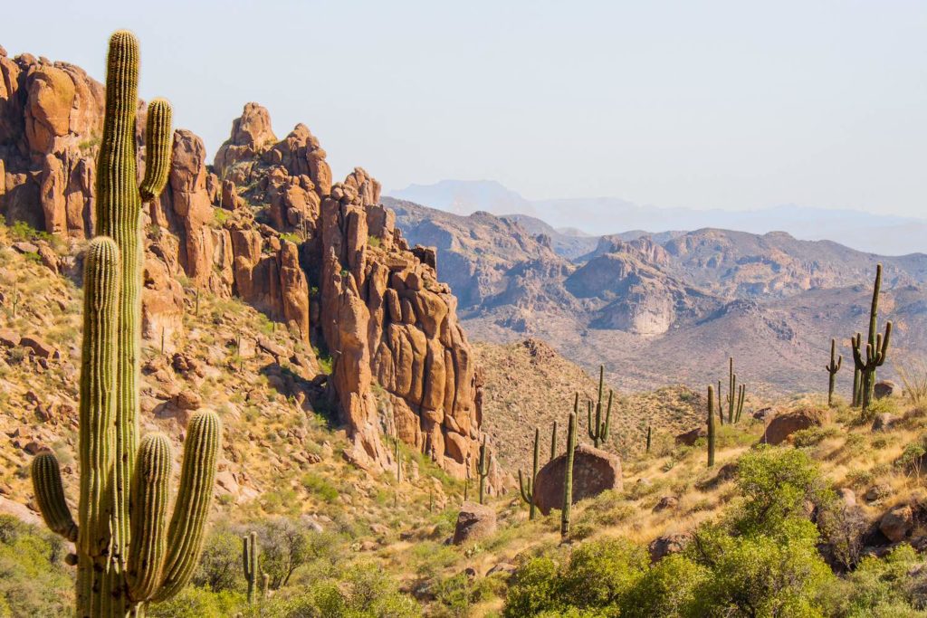 Saguaros In Arizona Superstition Mountains