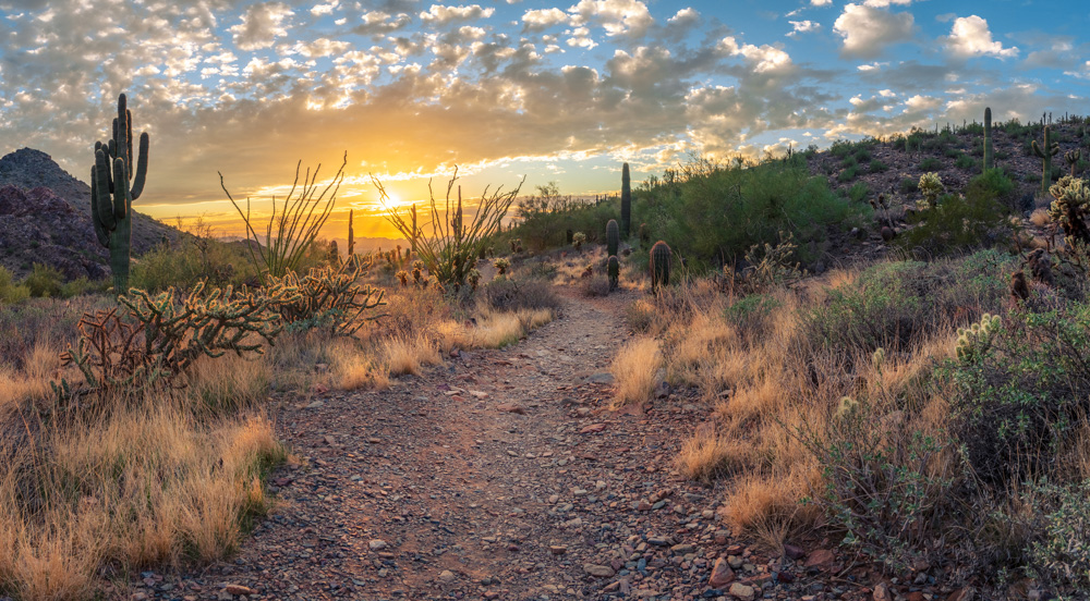 Scottsdale Trail at Sonoran Preserve
