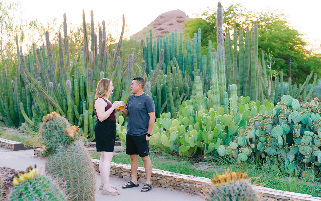 Desert botanical garden Sonoran sippin