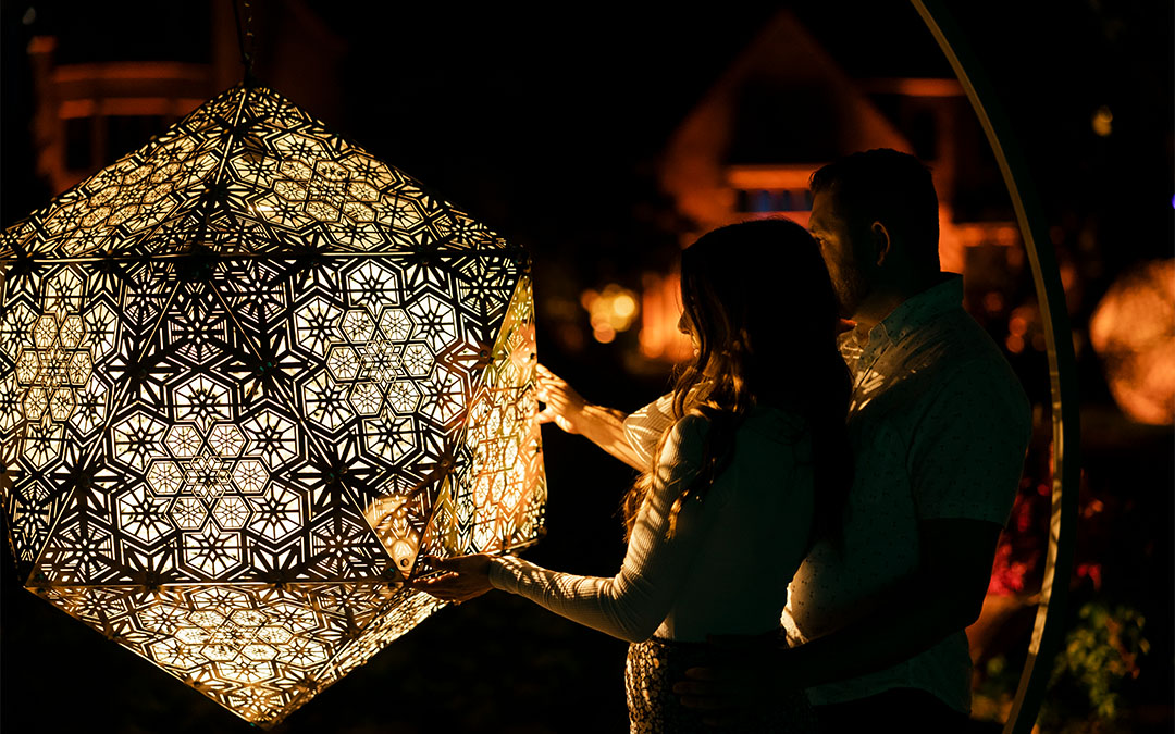 desert botanical garden light bloom 